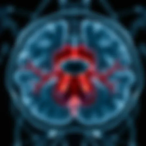 Understanding Prostate MRI Anatomy: A Detailed Exploration Introduction