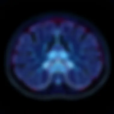 Notable Understanding Prostate MRI Anatomy: A Detailed Exploration