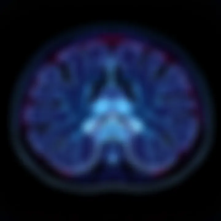 Notable Understanding Prostate MRI Anatomy: A Detailed Exploration