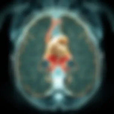 Understanding Prostate MRI Anatomy: A Detailed Exploration Summary