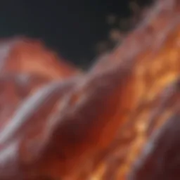 Diagram illustrating causes of renal toxicity