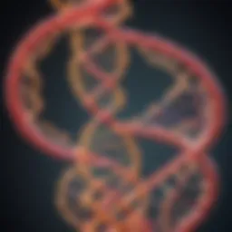 Diagram illustrating the structure of RNA