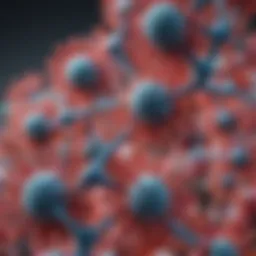 Illustration depicting the structure of RNP antibodies