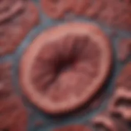 Microscopic view of liver tissue showing severe hepatic steatosis