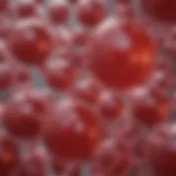 A detailed diagram illustrating the structure of hemoglobin C and its differences from normal hemoglobin.