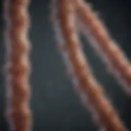 Visual representation of Turner syndrome chromosome analysis