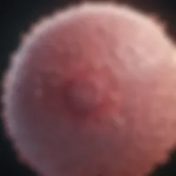 Understanding Stage 2 Ductal Carcinoma Introduction