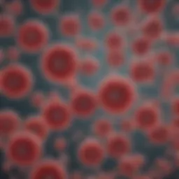 Microscopic view of Streptococcus thermophilus cells