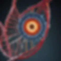 Visual representation of the Beta variant genomic structure