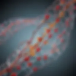 A diagram illustrating genetic factors influencing glucose levels