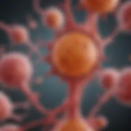 Diagram illustrating the pathophysiology of bladder cancer and anemia