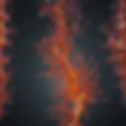 Visualization of diamine oxidase enzyme activity in the body