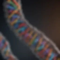Structure of DNA illustrating the double helix