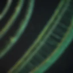 Diagram illustrating the structure of GFP cDNA sequence.
