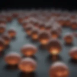 Detailed view of genetic markers associated with the mm phenotype