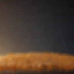 Visual representation of vitamin D sources