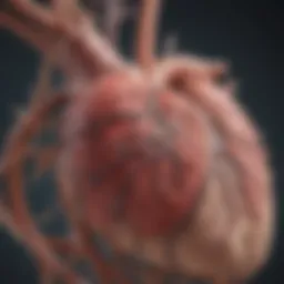 Diagram illustrating the relationship between atrial fibrillation and stroke risk