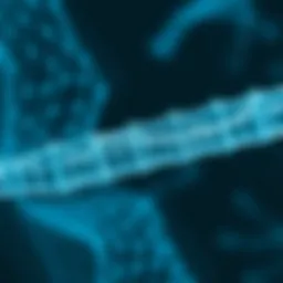 Understanding the RT-PCR Test: A Comprehensive Overview Introduction