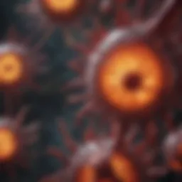Cellular mechanisms of inflammation response