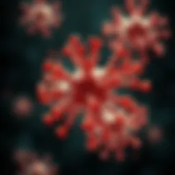 Molecular structure of myeloma cells