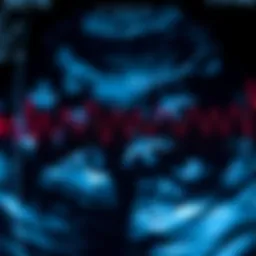 Ultrasound waves depicting anatomy