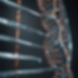 Detailed illustration of DNA sequencing technology