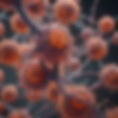 Diagram of immune system response in X-Linked Lymphoproliferative Syndrome